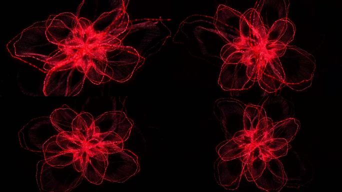 花朵花瓣唯美绚丽粒子特效动画4KAE工程