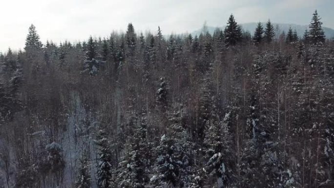 冬季景观雪山鸟瞰图飞过