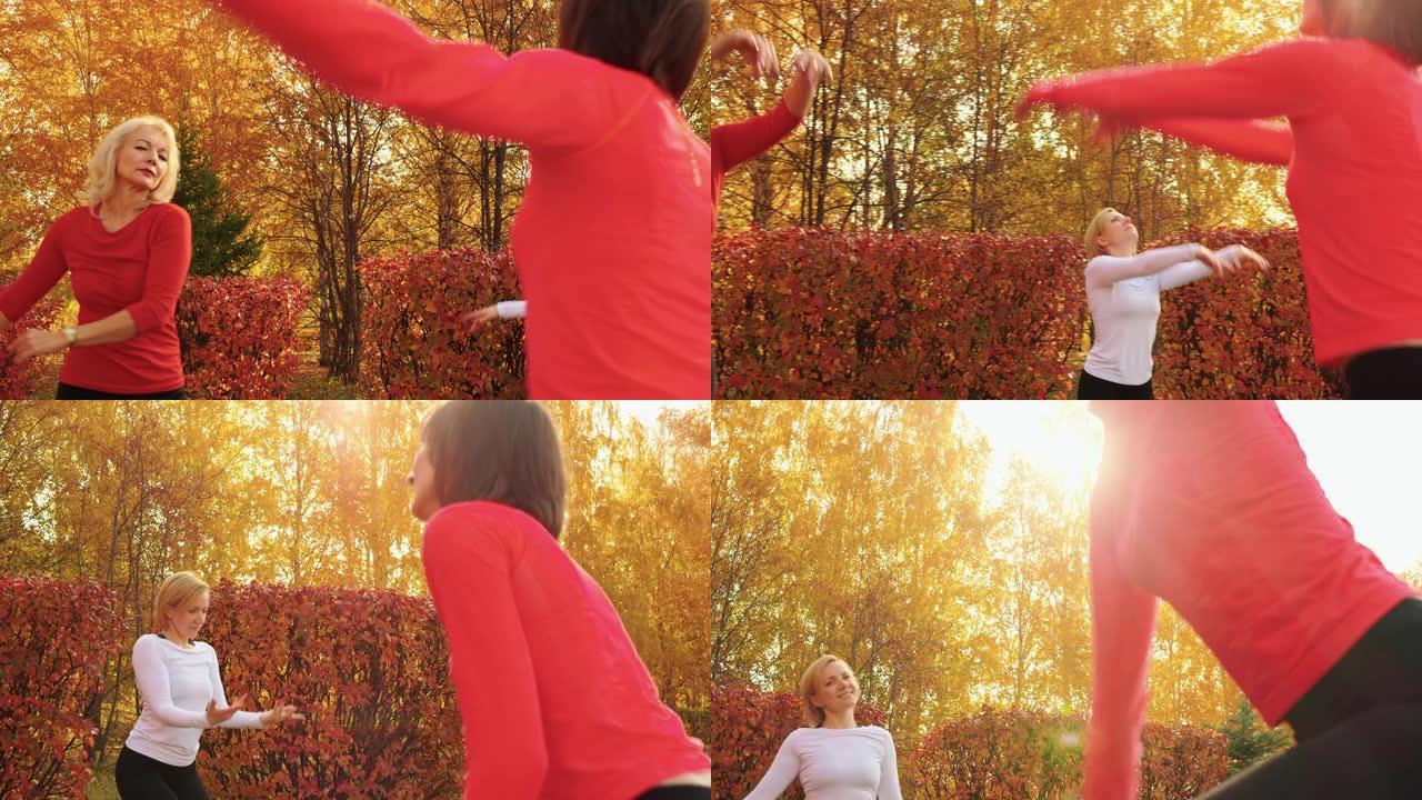 阳光背景下的秋季公园健身女子训练伸展运动。运动女子在阳光明媚的秋日练习瑜伽体式。普拉提户外班。