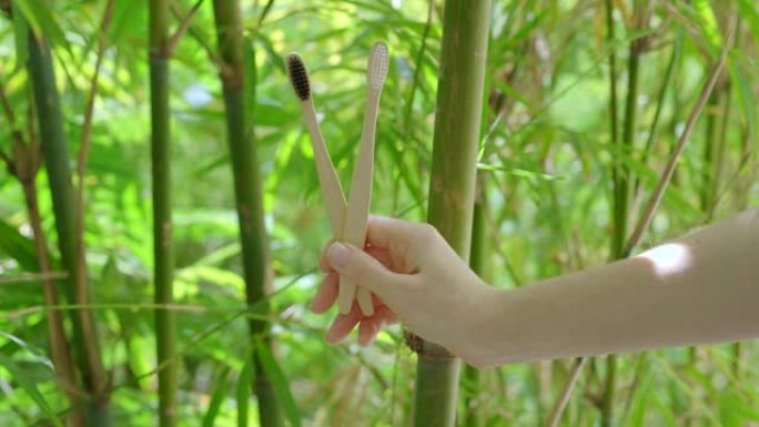 一个女人的手展示了两把用竹子制成的木制牙刷。环保零废竹制品的概念