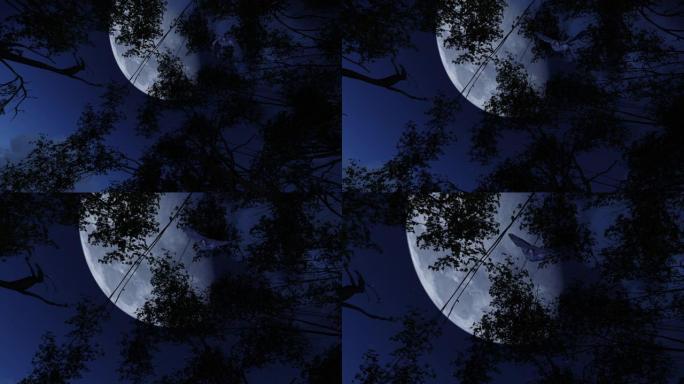 3D动画剪辑的飞行伟大的美国角猫头鹰在令人毛骨悚然的夜晚与满月在天空
