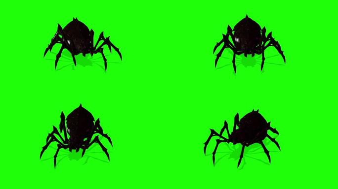 绿屏蜘蛛爬行的动画