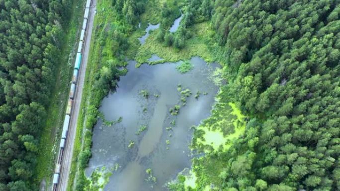 无人机画面显示，在阴天，一列货运火车穿过绿色景观，草地和松树林。在右手边有一个小湖可见。4k实时拍摄