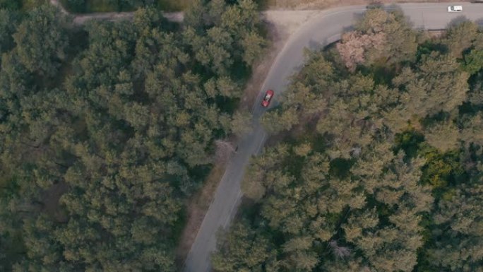 红色汽车在森林中行驶