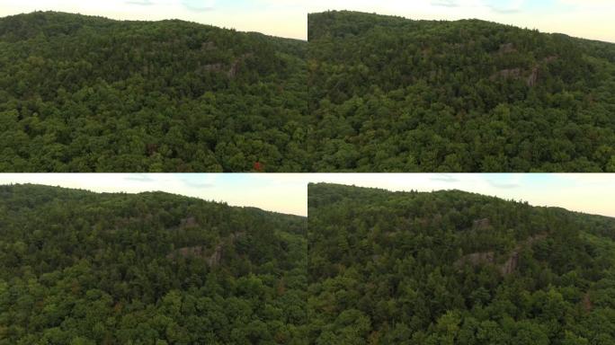 戏剧性的森林，几块岩石峭壁从茂密的茂密树木中见顶