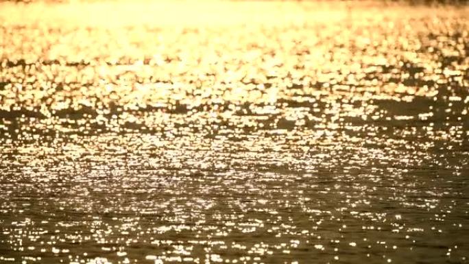 日落时水面的场景波光粼粼、水面、湖面