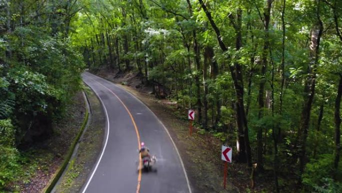 摩托车或轻便摩托车在茂密的丛林森林中行驶狭窄的柏油路。人造森林，菲律宾，保和