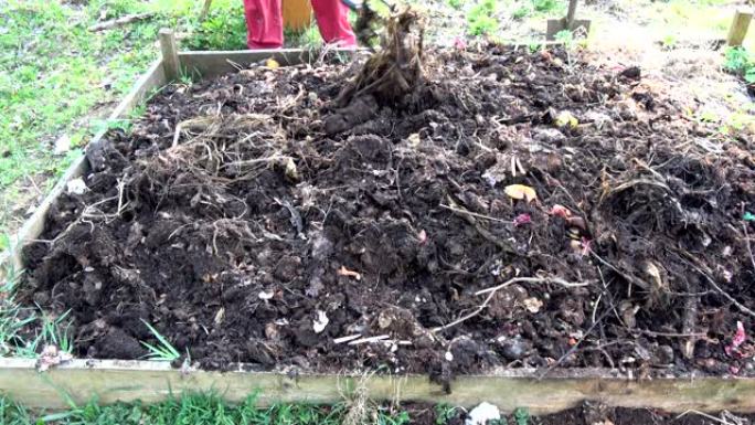 春季园丁用叉子挖堆肥土