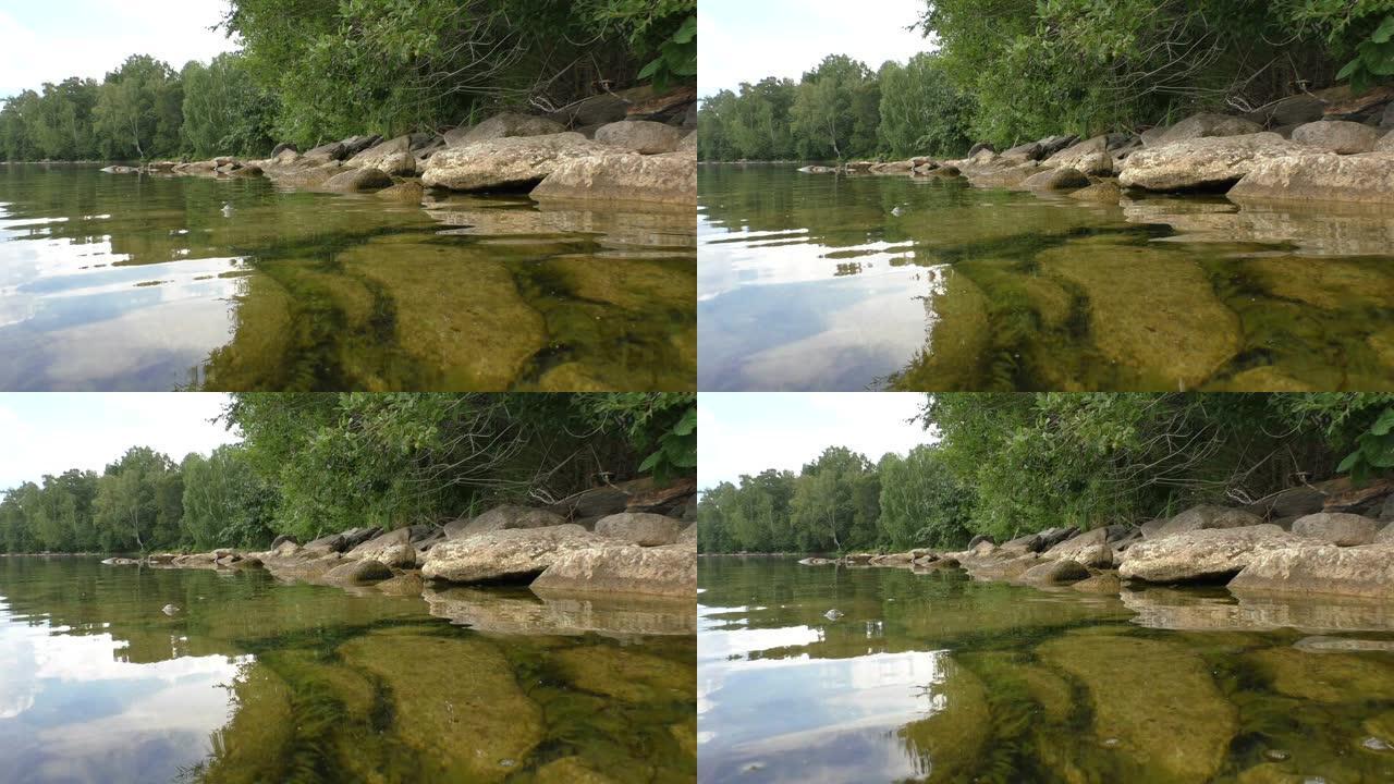 水下的石头。湖的绿色海岸