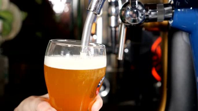 啤酒在黑色酒吧背景的玻璃中倒入和发泡特写慢动作。金啤酒被倒入玻璃中，产生气泡和泡沫。高清视频