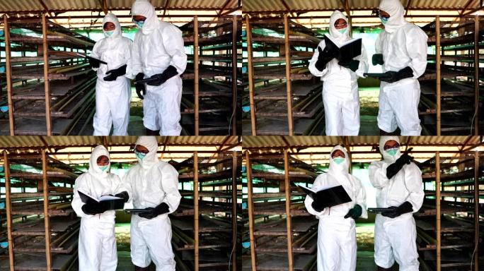 科学家正在调查细菌污染covid 19病毒在鸡的遗弃中