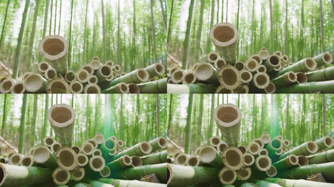 准备好加工成可持续绿色产品的有机竹竿的特写镜头。背景竹林。耀斑。