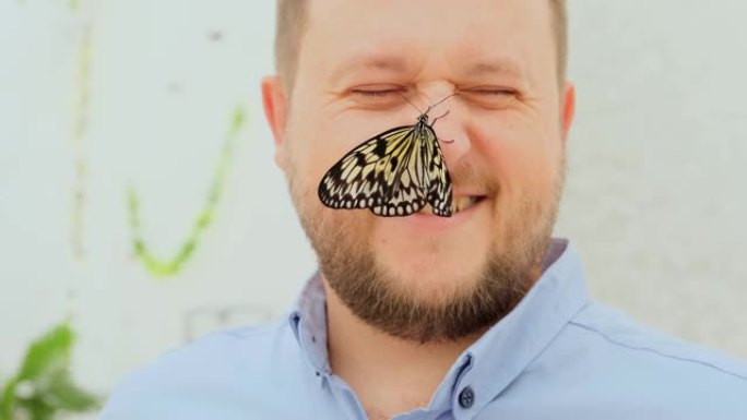 大棕色蝴蝶坐在男性脸的鼻子上，特写镜头。复制空间