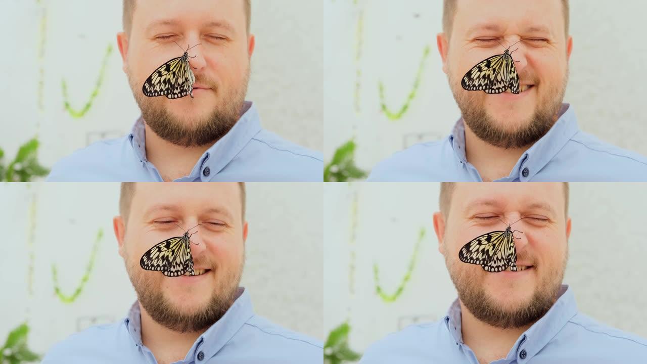 大棕色蝴蝶坐在男性脸的鼻子上，特写镜头。复制空间