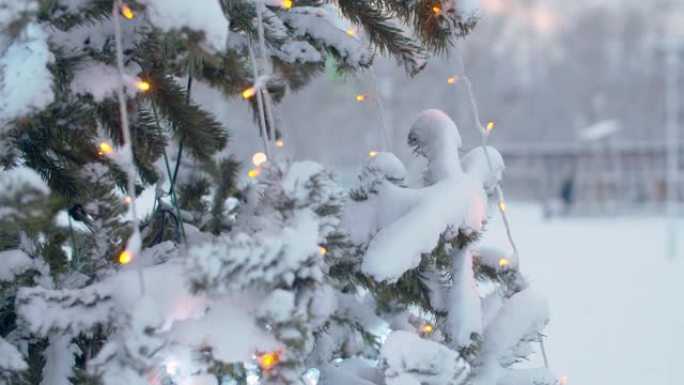 雪下的户外圣诞树冰天雪地