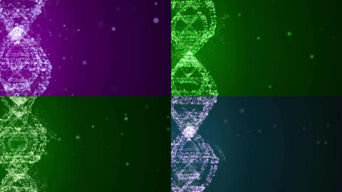 惊人的超级DNA链在空间中旋转，作为具有遗传信息的完美人类分子的样本。