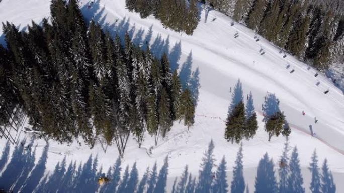 雪杉林滑雪胜地有滑雪者和滑雪缆车的空中滑雪场