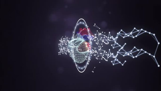 由发光环和神经丛网络屏蔽的人类心脏的网格模型，在darl空间背景上旋转。