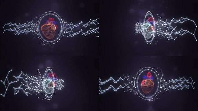 由发光环和神经丛网络屏蔽的人类心脏的网格模型，在darl空间背景上旋转。