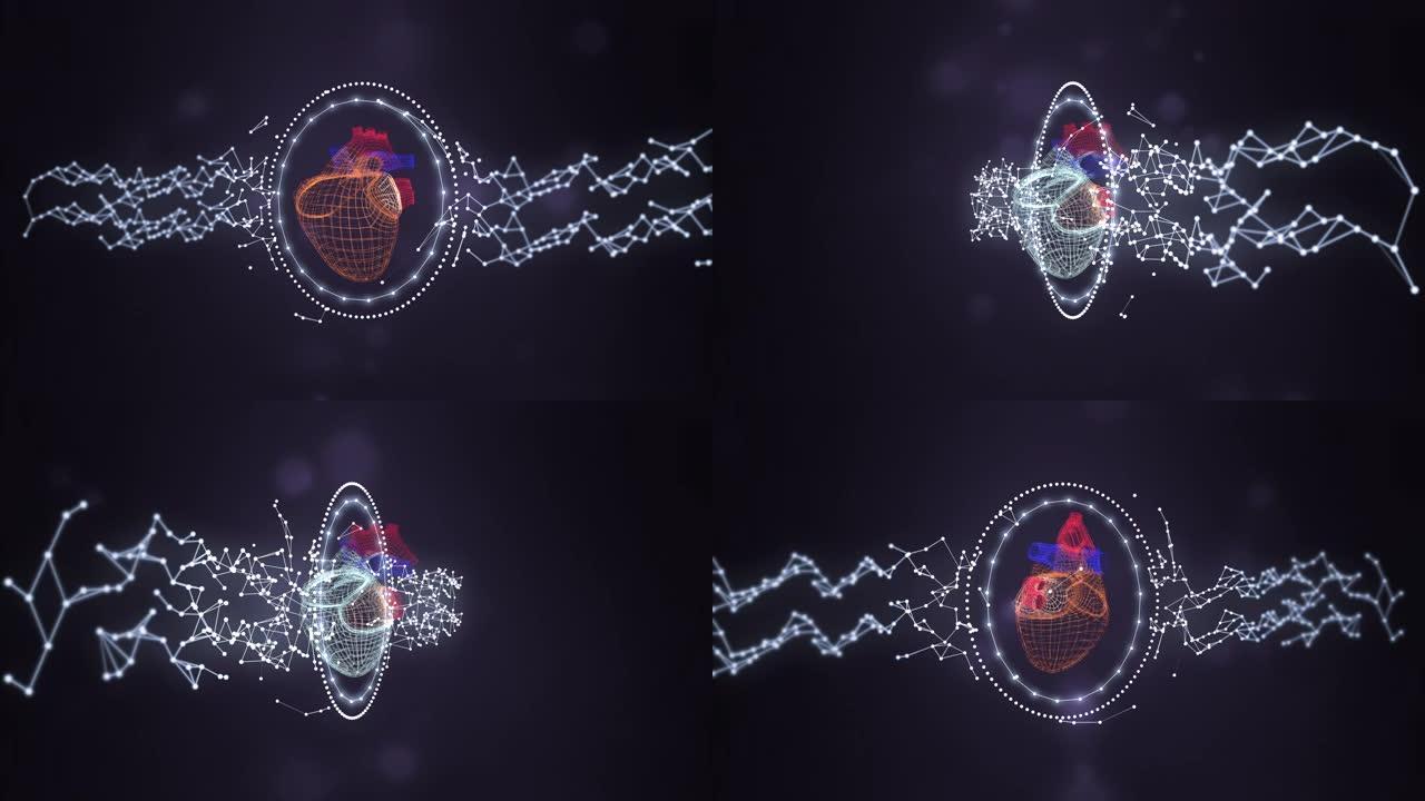 由发光环和神经丛网络屏蔽的人类心脏的网格模型，在darl空间背景上旋转。