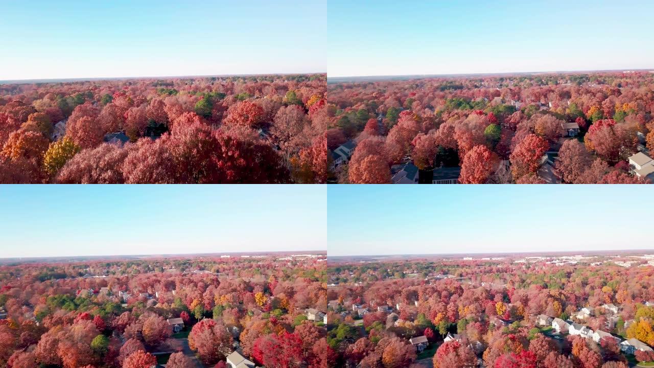 弗吉尼亚州里士满的秋天