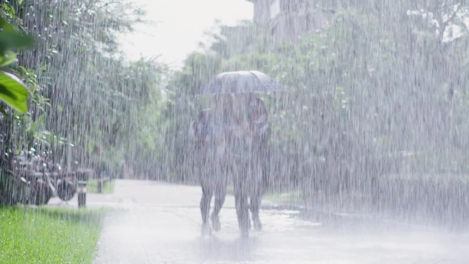 大雨中走路