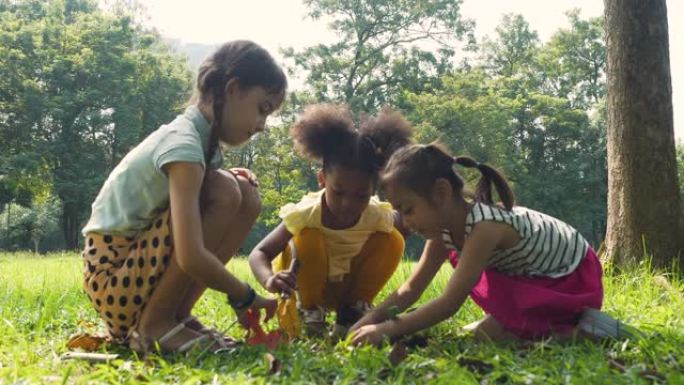 年轻女孩儿童在土壤上种植树苗