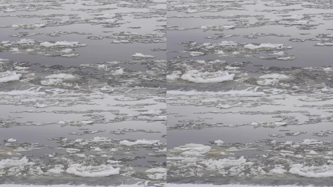 大块的冰漂浮在一条非常大的河上