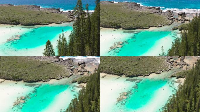 空中: 松树岛的镜头显示了新喀里多尼亚的珊瑚礁，松树和绿松石水。