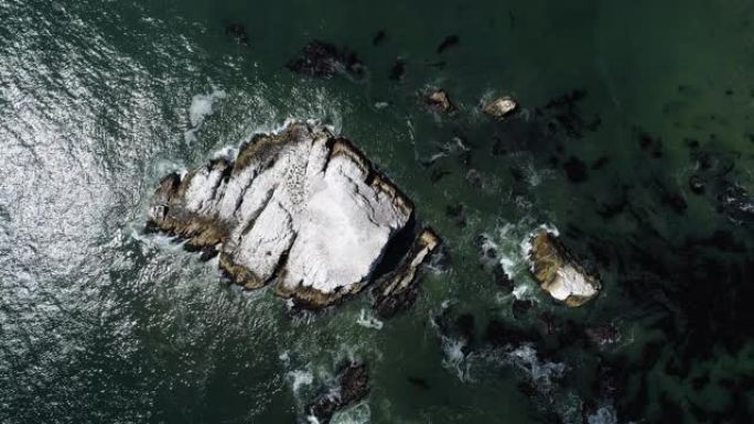 在阳光明媚的春天，加利福尼亚西海岸太平洋的岩石和杂草的空中俯视图。带有静态摄像机的空中无人机4K U