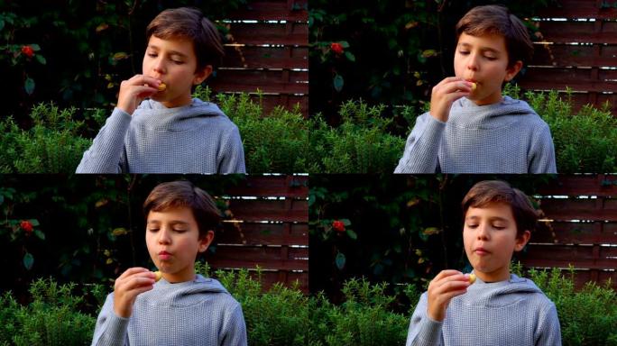 十几岁的男孩吃法国杏仁饼干马卡龙