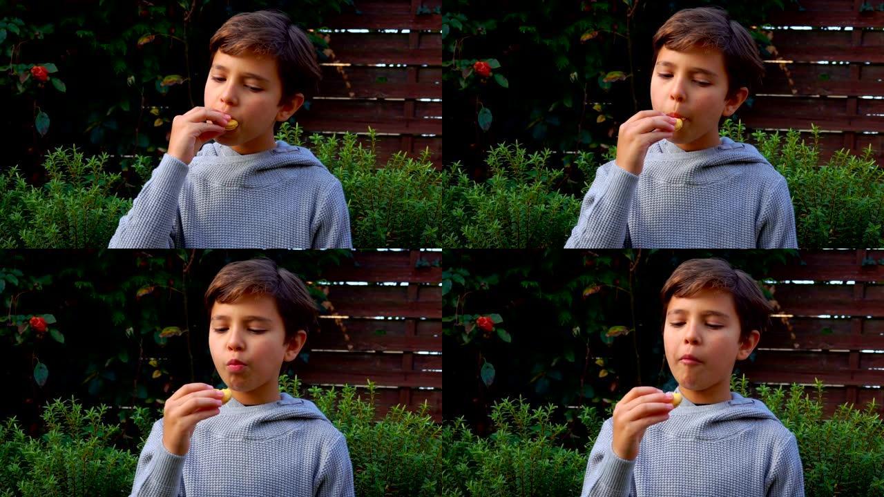 十几岁的男孩吃法国杏仁饼干马卡龙