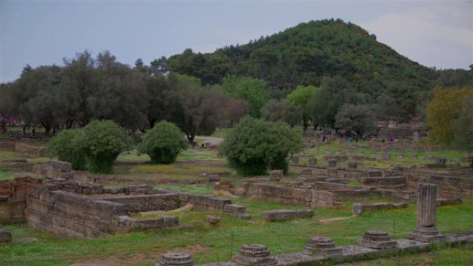 希腊伯罗奔尼撒半岛，古奥林匹亚考古遗址，奥林匹亚的Leonidaion遗址和犹大树(Cercis s