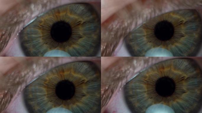 慢动作的极端特写微距拍摄的人类男性眼睛细节。