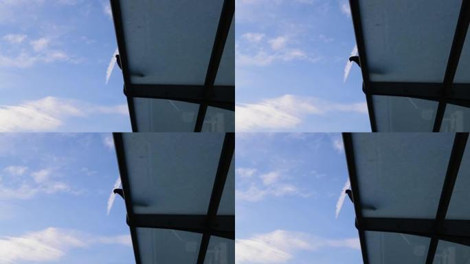 屋顶上的鸟屋顶上的鸟