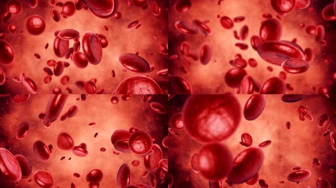 血细胞血小板动画血细胞动画