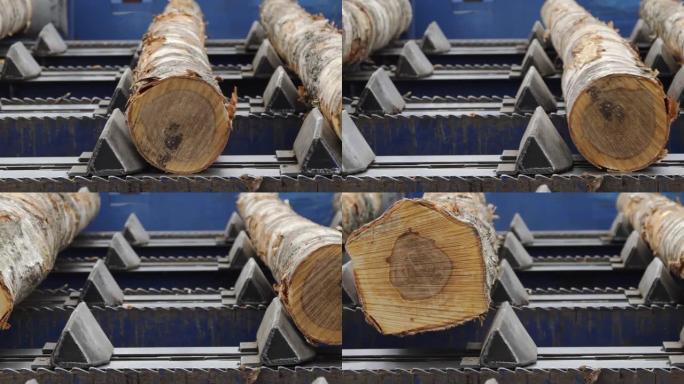 木材工业。切割机前的原木输送机。锯木厂的现代切割线。切割线输入的输送机。