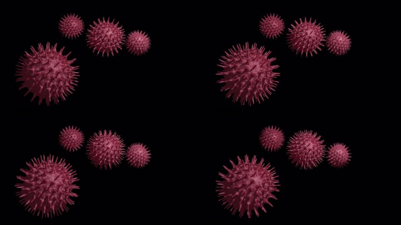 黑色背景上病毒细胞与物体、生物概念的4k结构