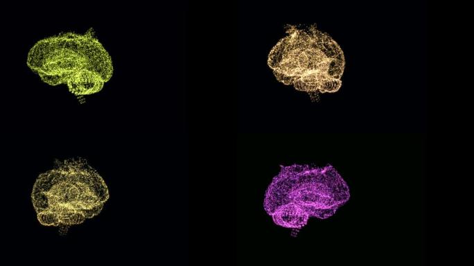 大脑湍流概念。视频显示大脑积极寻找答案，在空间中旋转。