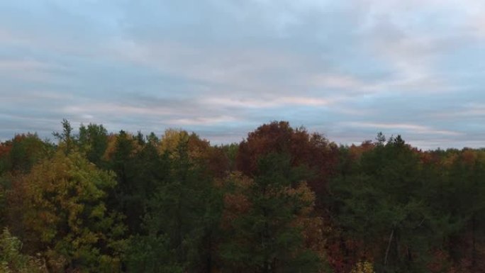 无人机在秋天拍摄的慢速举升镜头，一天结束时树木呈彩色