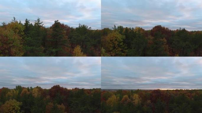 无人机在秋天拍摄的慢速举升镜头，一天结束时树木呈彩色