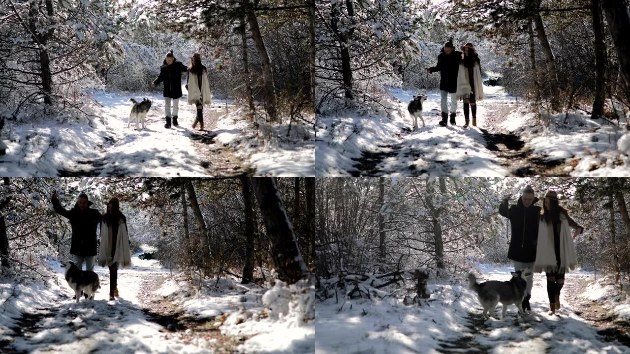 阳光明媚的冬日，带着哈士奇狗的跑车在白雪皑皑的森林里玩得开心