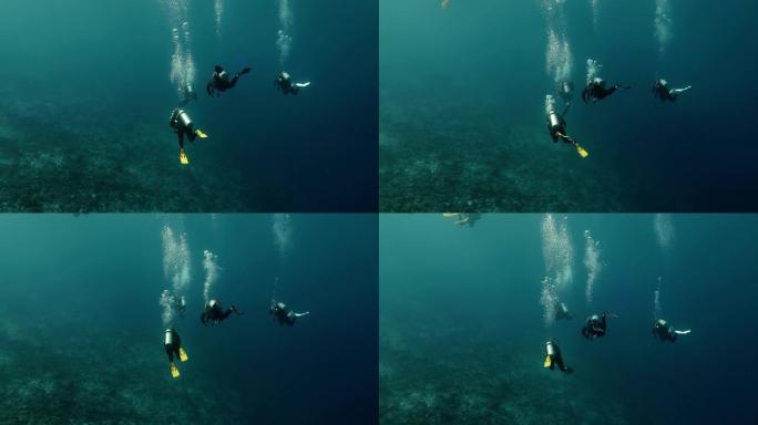 潜水员在太平洋水下游泳。在清澈的蓝色水中进行休闲和度假的完美潜水
