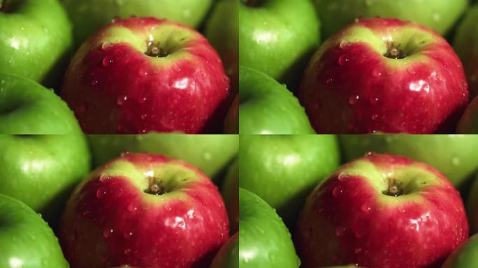 近景的坏苹果或独特的概念隐喻。红苹果在一群青苹果中出现。从人群中脱颖而出。红色的相机。