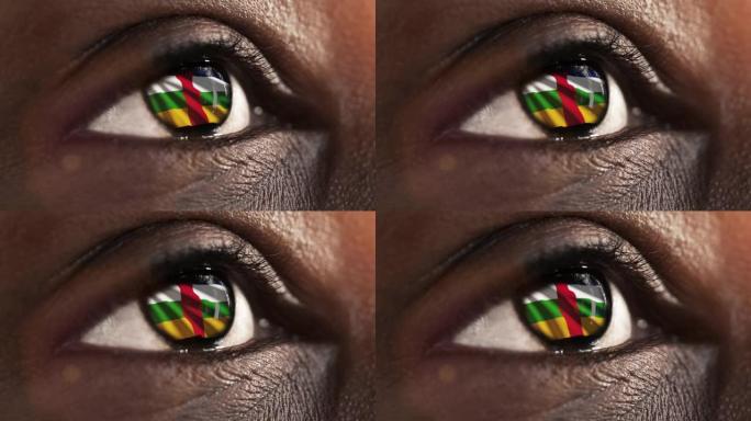 妇女黑眼睛在近距离与旗帜中非鸢尾与风的运动。视频的概念