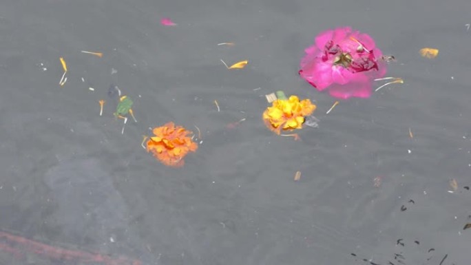 花漂浮在肮脏污染的河水中。还有其他垃圾在流动。