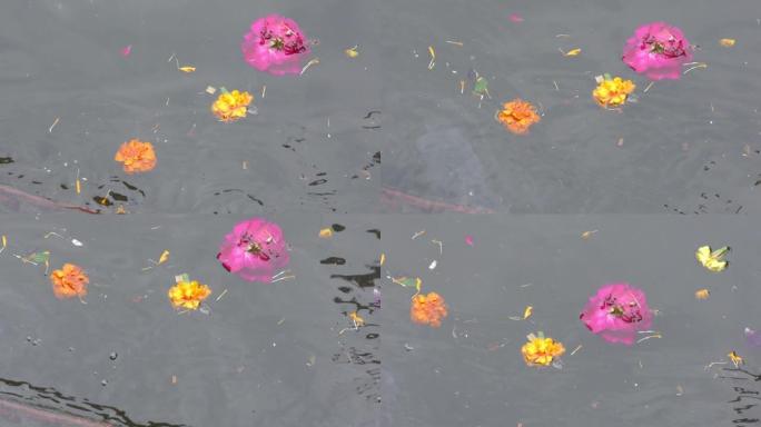 花漂浮在肮脏污染的河水中。还有其他垃圾在流动。