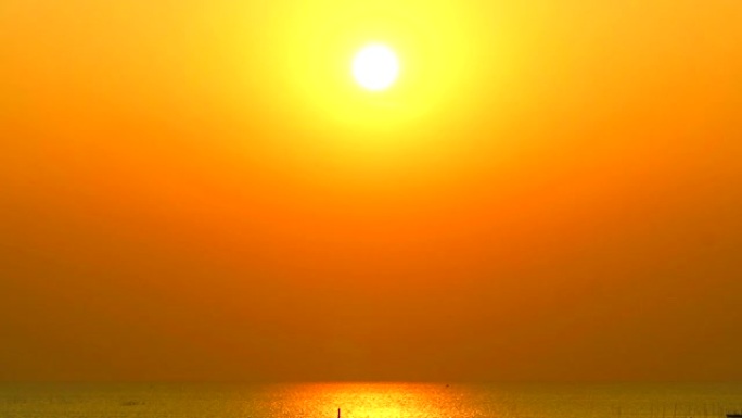 海上日落和阳光在海面上的反射和飞鸟