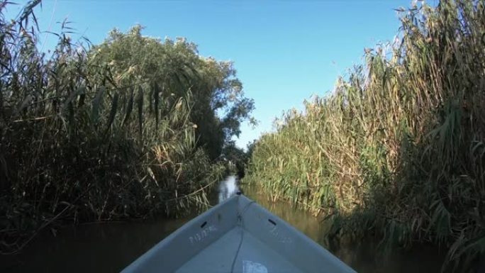 Fishing boat moves along the narrow river