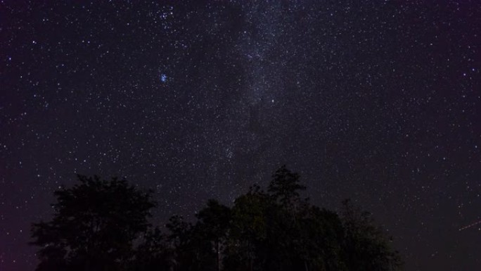 热带森林上空的星空，延时视频